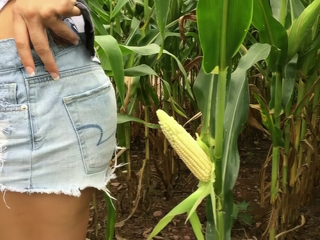 Japanese Farmers' Secret Garden - Exploring the Rough Terrain of a Wet and Wild Crop